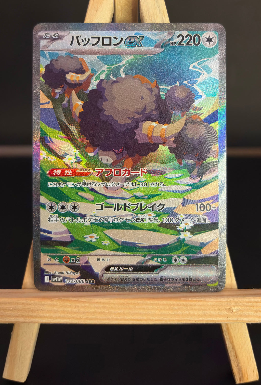Bouffalant ex SAR #172/086 (JP)